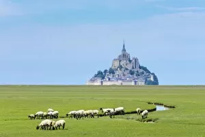 France, Normandy (Normandie), Manche department, sheep grazing in front of Le