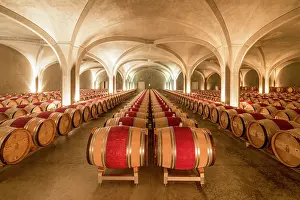 Viniculture Prints: France Nouvelle-Aquitaine, (Aquitaine-Limousin-Poitou-Charentes) Gironde