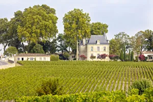 France, Nouvelle-Aquitaine, Gironde, Medoc, Chateau Pichon Longueville Comtesse de