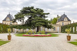 France, Nouvelle-Aquitaine, Gironde, Medoc, Chateau Saint-Julien-Beychevelle