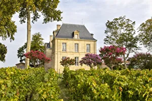 France, Nouvelle-Aquitaine, Gironde, Medoc, Ch√¢teau Pichon Longueville Comtesse de Lalande