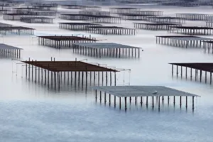 Herault Prints: France, Occitanie, Herault, Bouzigues, oysters tables on the lagoon of Thau