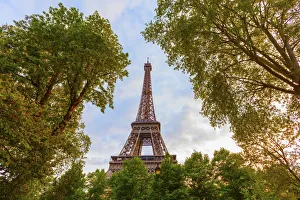 7th Arrondissement Prints: France, Paris, Eiffel Tower framed by trees