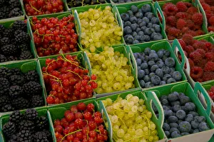 France, Provence-Alpes-Cote d Azur, Cannes, Old Town Le Suquet, Market