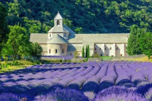 France, Provence-Alpes-Cote d Azur, Gordes, Senanque abbey (abbaie de Senanque) & field of lavender