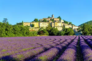 Editor's Picks: France, Provence-Alpes-Cote d'Azur, Banon and lavender fields