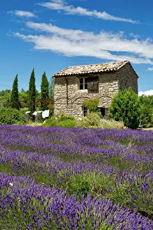 Vaucluse Prints: France, Provence Alpes Cote d'Azur