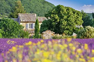 Vaucluse Prints: France, Provence Alpes Cote d'Azur