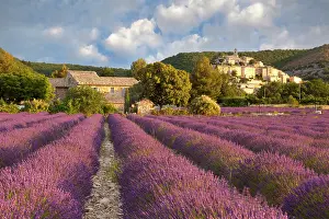 Vaucluse Prints: France, Provence Alpes Cote d'Azur