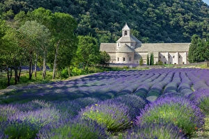 Images Dated 28th July 2023: France, Provence-Alpes-Cote d'Azur, Gordes, Senanque abbey (abbaie de Senanque) & field of lavender