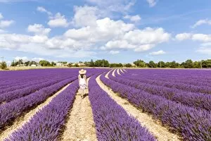 France, Provence Alps Cote d Azur, Vaucluse, Banon. Woman walking in lavender field in summer