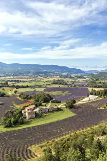 Images Dated 27th October 2014: France, Provence Alps Cote d Azur, Vaucluse, Sault. Valley with lavender fields