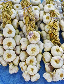 Images Dated 26th July 2012: France, Provence, Arles, market stall, Garlic