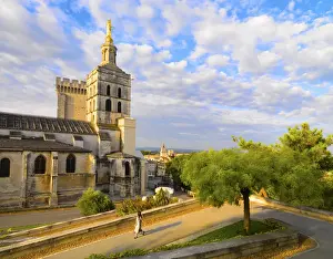 France, Provence, Avignon, Cathedral Notre-Dame-des Doms, Woman walking down path MR