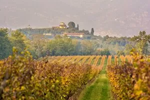 Images Dated 6th June 2017: Franciacorta, Brescia province, Lombardy district, Italy, Europe