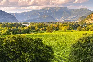 Summer Season Prints: Franciacorta in summer season, Brescia province in Lombardy district, Italy