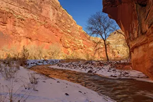 Fresh Water Prints: Fremont River in winter, Capitol Reef National Park, Utah, USA