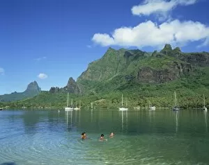 Cooks Bay Gallery: French Polynesia