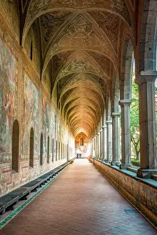 Historic Building Prints: Frescos on the arched ceiling and walls in the cloister of Santa Chiara monastery