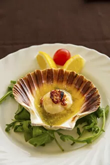 Images Dated 12th May 2021: Fresh scallop, Piran, Istria, Slovenia