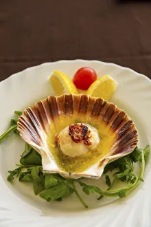 Food Gallery: Fresh scallop, Piran, Istria, Slovenia