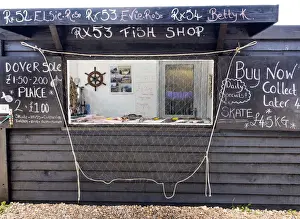 Freshly caught fish on sale in the traditional shop in Hastings Old Town, Sussex, England