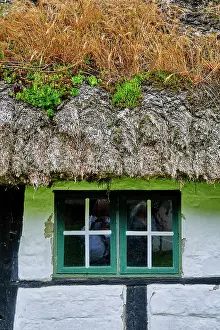 Thatched Roof Prints: Frilandsmuseet (Open-Air Museum) is an open-air museum on the northern outskirts of Copenhagen