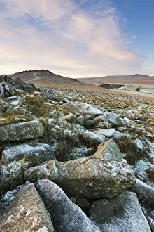 Frost on Belstone Tor in Dartmoor National Park, Devon, England. Winter