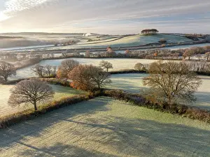 November Prints: Frost coated rolling countryside near Cookworthy Knapp