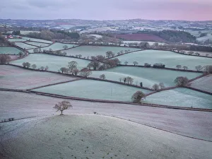 January Prints: Frost covered countryside at dawn, Devon, England. Winter (January) 2024