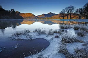 Grass Collection: Frost Along Derwent Water, Lake District National Park, Cumbria, England
