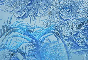 Western Prints: Frost pattern on window, Winnipeg, Manitoba, Canada