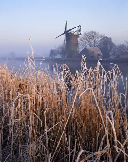 Reedbed Prints: Frost along River Bure at Oby Mill, Norfolk, England