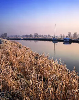 Reedbed Prints: Frost along River Waveney, Gillingham Marshes, Norfolk, England
