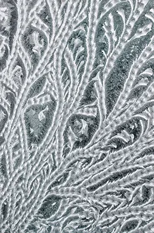 Textures Prints: Frost on window pane, Thornton, Ontario, Canada