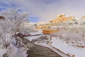 Fresh Water Prints: Frosted cottonwoods and the Fremont River in the Fremont Canyon