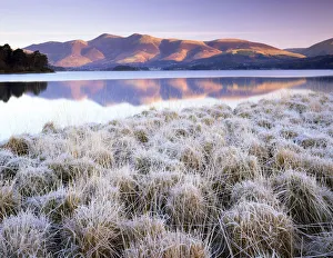 Images Dated 30th November 2016: Frosted Grasses & Skiddaw Reflecting in Derwent Water, Lake District National Park