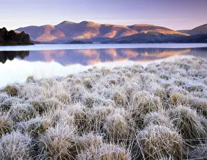 Frosted Grasses & Skiddaw Reflecting in Derwent Water, Lake District National Park
