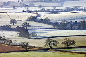 Frosted winter fields near Shobrooke, Devon, England. Winter (March) 2010