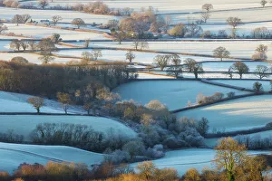 Hedgerows Prints: Frosty farmland in the Marshwood Vale, Dorset, England, UK
