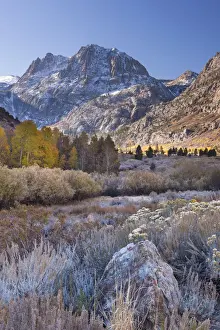 Frosty morning on June Lake Loop in the Eastern Sierra Mountains, California, USA