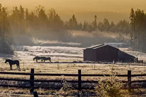 Images Dated 6th February 2015: Frosty rural landscape at sunrise in the Olympic Peninsula, Washington, USA