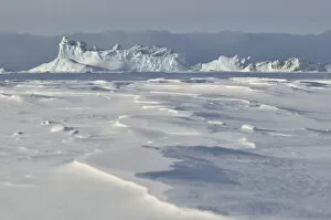 Images Dated 3rd November 2014: frozen fjord, Qeqertarsuaq, Disko Island, Greenland