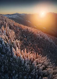 Images Dated 11th June 2021: Frozen forests of the Appennines near Passo delle Radici, Appennino Tosco Emiliano