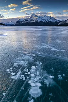 Abraham Lake Gallery: Frozen Methane Bubbles on Abraham Lake, Aberta, Canada