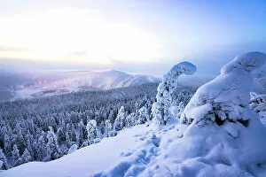 Climate Collection: Frozen snowy trees on hills surrounding the famous Ruka ski resort, Kuusamo