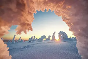 Finish Prints: Frozen snowy trees in shape of a heart lit by the warm lights of the cold arctic sunset