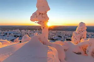 Back Lit Prints: Frozen trees framing the snowy cottages in the winter landscape of Finnish Lapland at dawn