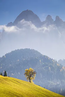 Santa Magdalena Prints: Funes Valley during autumn, Bolzano province, Trentino Alto Adige, Italy
