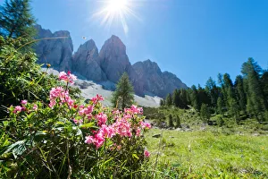 Funes Prints: Funes Valley, Dolomites, South Tyrol, Bolzano province, Italy, Europe